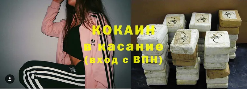 хочу наркоту  Оса  Cocaine Fish Scale 